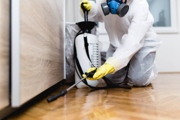 Quincy, CA Pest Control Company