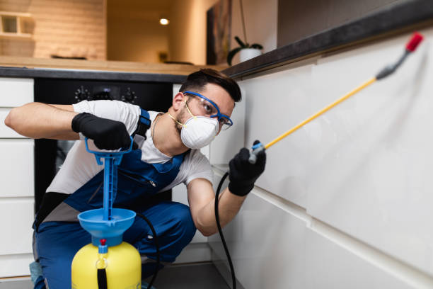 Wasp Removal Services in Quincy, CA