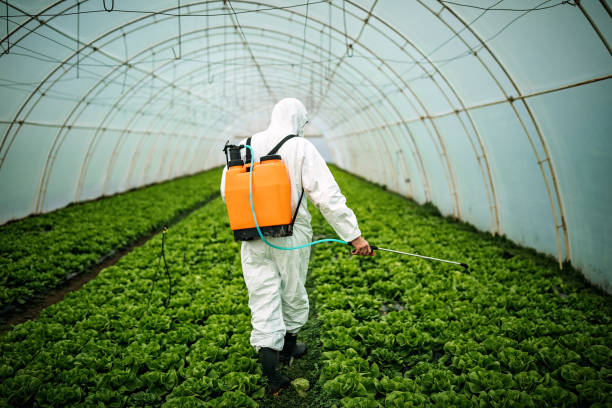 Best Mosquito Control Services  in Quincy, CA