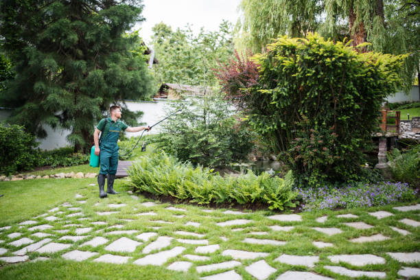 Best Emergency Pest Control  in Quincy, CA