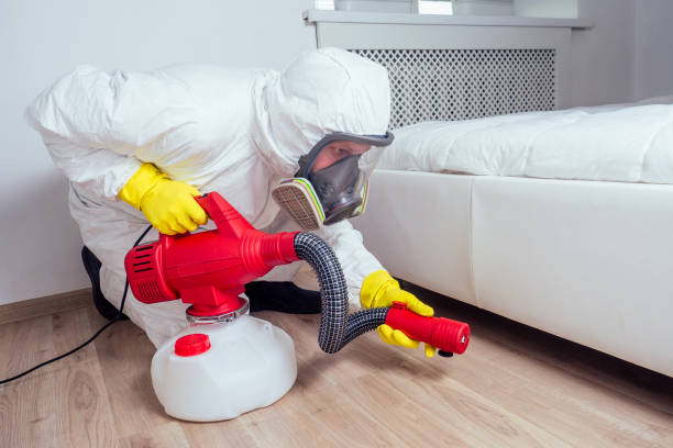 Best Pest Prevention Services  in Quincy, CA