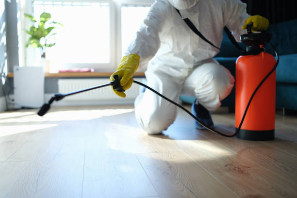 Best Affordable Pest Control Services  in Quincy, CA
