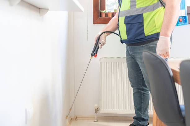Best Rat Extermination Near Me  in Quincy, CA