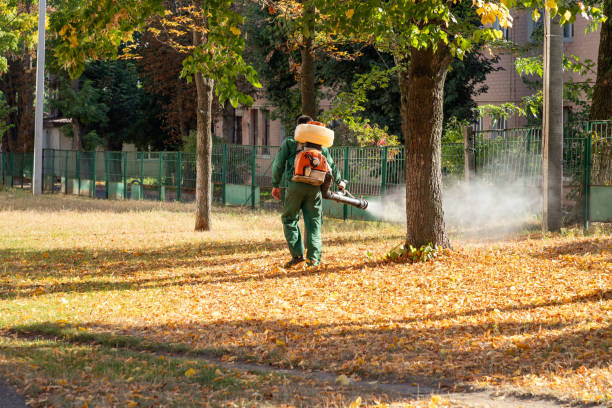 Best Emergency Pest Control  in Quincy, CA