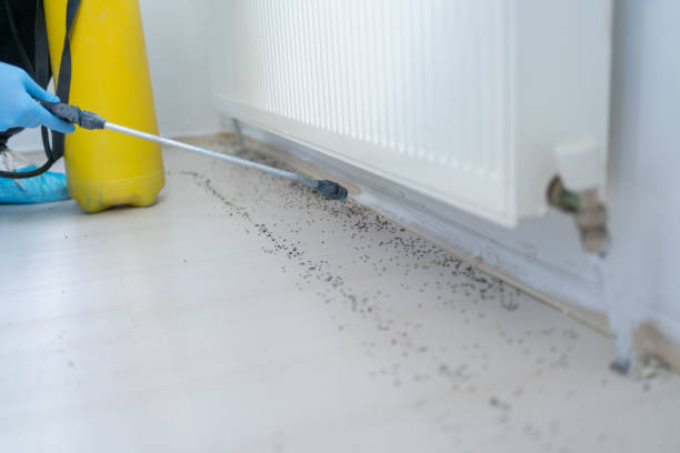 Best Wildlife Control Services  in Quincy, CA