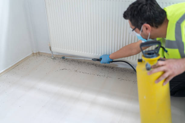 Best Pest Prevention Services  in Quincy, CA