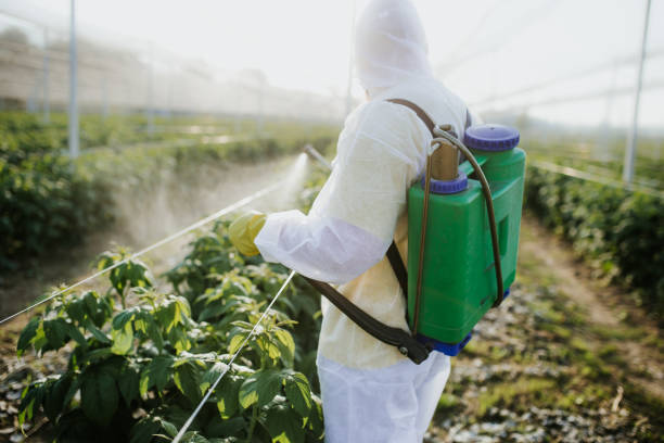 Best Best Pest Control Companies  in Quincy, CA